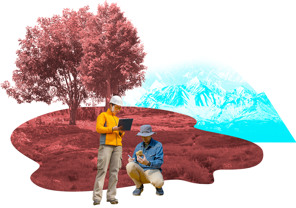 Fieldwork